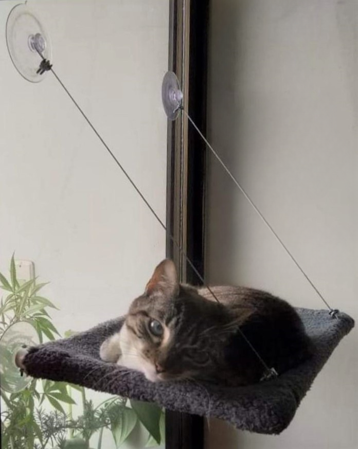 Hamaca para gato